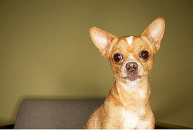 《最后纪元》第二赛季4月上线 游戏将会有全面革新